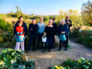 photo Atelier au potager en permaculture: tour du potager et chantier bénévole de paillage des allées