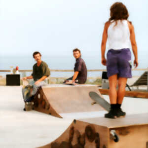 photo ATELIER D'INITIATION AU SKATE DANSÉ