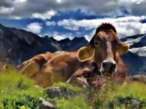 photo EXPOSITION - LES VACHES, HISTOIRES À RUMINER