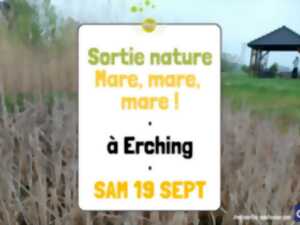photo Sortie nature - Mare, mare, mare