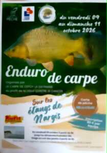 photo Enduro de carpe