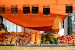 photo Marché du goût à St-Émilion