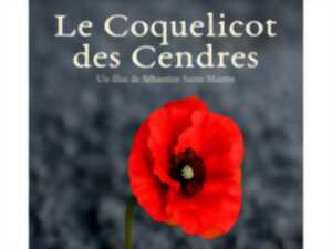 photo Les coquelicots de cendres