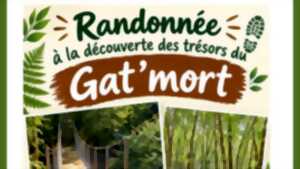 photo Randonnée de la St-Maurille à la découverte du Gat-mort