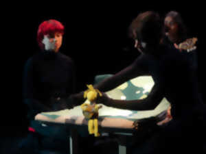 photo Festival Voix et Danses - Bulbe, Cie Macadam Tempo, Des marionnettes pour un voyage initiatique vocal et musical