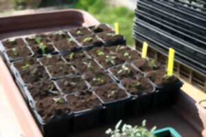 photo Troc graines, troc plantes