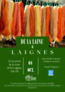 photo De la laine à Laignes