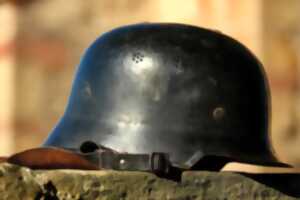 photo Jeu de piste : le trésor perdu d'un Stein poilu