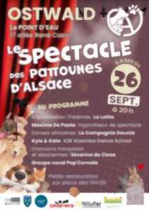 photo Le Spectacle des Pattounes d'Alsace
