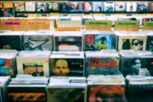 photo Bourse aux disques vinyles, CD et DVD
