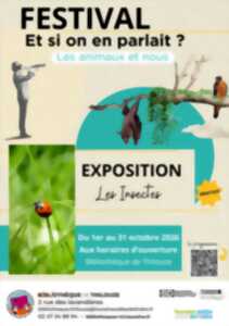 photo Exposition sur les insectes