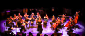 photo Concert de l'orchestre à cordes