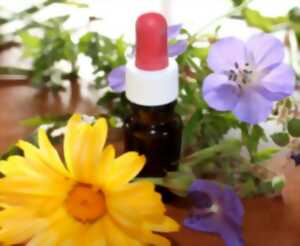 photo Atelier  Élixirs Floraux & Vitalité