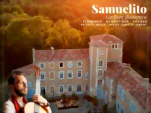 photo Récital guitare flamenca Samuelito