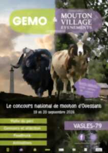 photo Concours national du mouton Ouessant