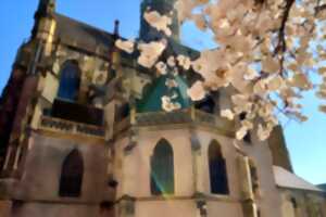 photo Journées du patrimoine : Animations place Joffre