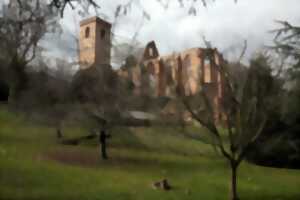 photo Découverte de l'Abbaye de Truttenhausen