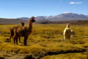 photo Bolivie