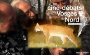 photo Ciné-débat - Chasseurs, proies, lynx
