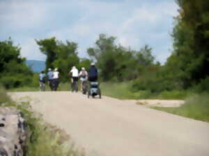 photo Vignobles en selle