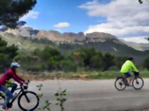 photo La Vélo-Triballe