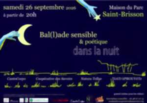 photo Bal(l)ade sensible & poétique dans la nuit