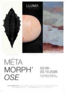 photo EXPOSITION MÉTA MORPH’OSE