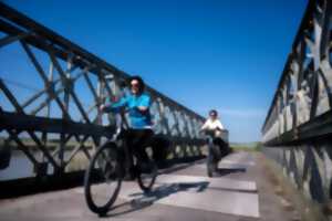 photo À vélo, à la découverte de la Baie des Veys
