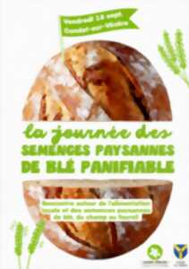 La journée des semances paysannes de BLE panifiable