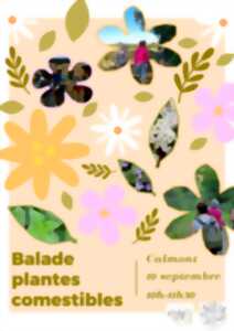JEP 2026- BALADE PLANTES COMESTIBLES