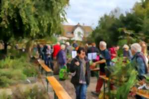Troc aux plantes