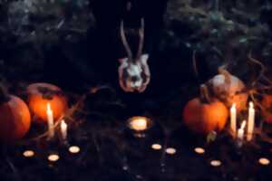 Animation halloween : Les mystères du chaudron
