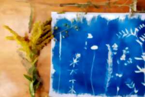 Atelier découverte du cyanotype