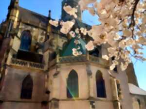 Journées du patrimoine : Animations place Joffre