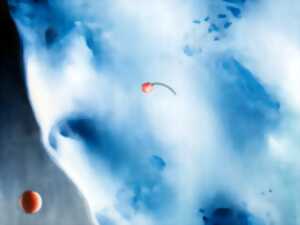 EXPOSITION : UNE ROSE, MILLE MONDES