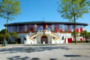 JEP : Visite des arènes de la 