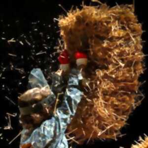 Spectacle : Le mariage forcé (Molière)