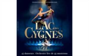 LE LAC DES CYGNES
