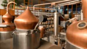 Découvrez les secrets de la Distillerie Lehmann