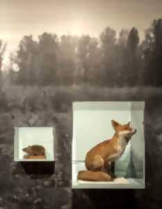 Le temps d’une rencontre : nature en ville