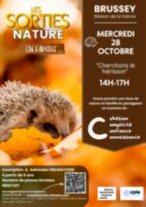 Les sorties nature en famille