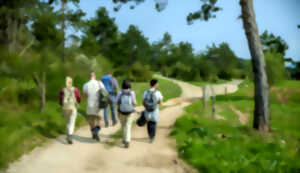 Journée des chemins