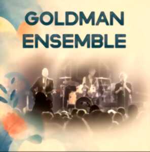 Concert de Goldman ensemble