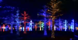 Conte du Hans Trapp - Animation Son et Lumière