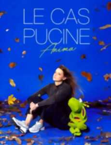 Le Cas Pucine