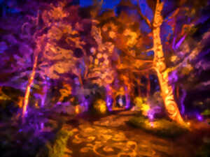 Spectacle son et lumière avec concert à Goeulzin