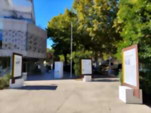Exposition Arcachon Ville Imperiale