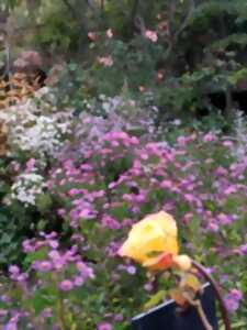 Démonstration de filage du verre  au jardin personnel d'André Eve