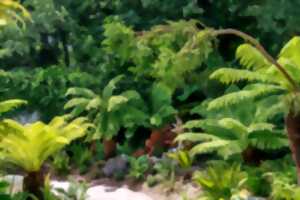 Jurassic Plantes - Rencontre et dédicaces au jardin personnel d'André Eve