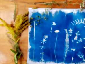 Atelier découverte du cyanotype